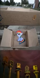 Size: 616x1180 | Tagged: allied mastercomputer, crossover, dashie meme, derpibooru import, evil people finding dash meme, exploitable meme, fanfic:my little dashie, filly, i have no mouth and i must scream, rainbow dash, safe