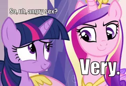 Size: 950x650 | Tagged: angry sex, caption, derpibooru import, female, games ponies play, image macro, implied sex, implied shipping, lesbian, meme, princess cadance, suggestive, twidance, twilight sparkle