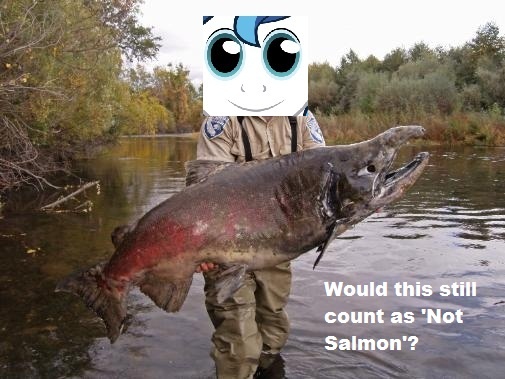 Size: 505x379 | Tagged: caption, derpibooru import, fish, fishing, not salmon, not salmon yet salmon, obligatory pony, question, safe, salmon, shining armor, twily face, wat