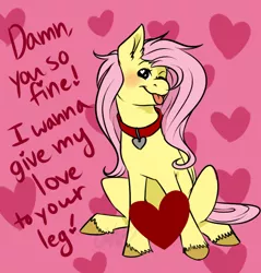 Size: 702x733 | Tagged: suggestive, artist:cartoonlion, derpibooru import, fluttershy, oc, oc:futashy, ask futashy, futaverse, ask, futa, futa fluttershy, hearts and hooves day, image, intersex, png, solo, valentine, valentine's day