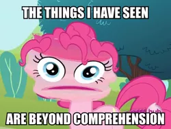 Size: 800x600 | Tagged: derpibooru import, edit, edited screencap, hub logo, image macro, pinkie pie, putting your hoof down, safe, screencap, smear frame