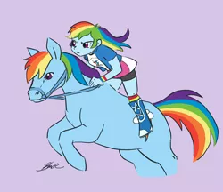 Size: 928x800 | Tagged: safe, artist:caycowa, derpibooru import, rainbow dash, horse, equestria girls, bridle, duality, hilarious in hindsight, human ponidox, humans riding horses, realistic, reins, riding