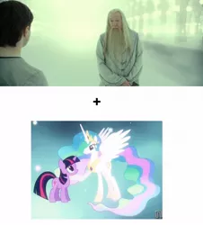 Size: 1280x1418 | Tagged: safe, derpibooru import, princess celestia, twilight sparkle, unicorn, magical mystery cure, albus dumbledore, exploitable meme, harry potter, make it happen, meme, the void, unicorn twilight, void