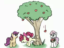 Size: 3600x2700 | Tagged: apple bloom, applebucking, artist:estrill, basket, cutie mark crusaders, derpibooru import, safe, scootaloo, sweetie belle