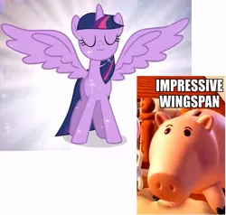 Size: 900x855 | Tagged: safe, derpibooru import, screencap, twilight sparkle, twilight sparkle (alicorn), alicorn, pony, games ponies play, magical mystery cure, female, hamm, image macro, mare, piggy bank, toy story