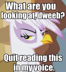 Size: 573x630 | Tagged: safe, derpibooru import, gilda, gryphon, annoyed look, dweeb, fourth wall, image, image macro, looking at you, png, solo, talking, talking to viewer