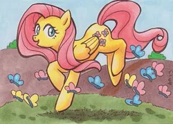 Size: 419x300 | Tagged: artist:blightedangel, butterfly, derpibooru import, fluttershy, lowres, safe, solo, traditional art