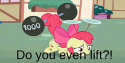 Size: 700x355 | Tagged: safe, derpibooru import, edit, edited screencap, screencap, apple bloom, earth pony, pony, the cutie pox, animated, barbell, cutie pox, do you even lift, female, filly, image macro, plate spinning, prehensile tail, solo, tail hold, weight lifting