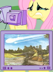 Size: 563x771 | Tagged: crying, derpibooru import, dinosaur, exploitable meme, extinction, fluttercry, fluttershy, meme, meteor, meteorite, safe, tv meme