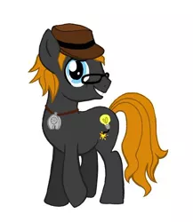 Size: 456x525 | Tagged: safe, artist:peachpalette, derpibooru import, oc, oc:epiphany bomb, unofficial characters only, earth pony, pony, hat, male, necklace, present, solo, stallion, trilby