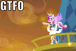 Size: 500x337 | Tagged: animated, caption, derpibooru import, edit, edited screencap, epic wife tossing, fastball special, gtfo, image macro, princess cadance, safe, screencap, shining armor, silly