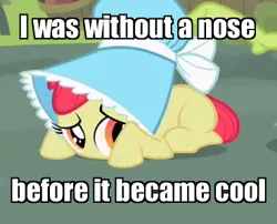 Size: 367x296 | Tagged: apple bloom, before it was cool, bonnet, cropped, derpibooru import, edit, edited screencap, family appreciation day, hipster, image macro, no mouth, safe, screencap, solo