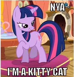 Size: 439x455 | Tagged: safe, derpibooru import, twilight sparkle, unicorn, bedroom eyes, cushion, female, grin, image macro, mare, meme, raised hoof, smiling, solo, twilight cat, unicorn twilight