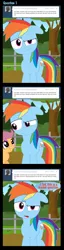 Size: 1320x5182 | Tagged: artist:ajmstudios, comic, derpibooru import, rainbow dash, safe, scootaloo, tumblr