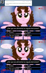 Size: 1236x1963 | Tagged: artist:shinta-girl, ask, comic, derpibooru import, oc, oc:shinta pony, safe, spanish, translated in the description, tumblr, unofficial characters only, who wants to be a millionare