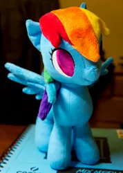 Size: 1280x1800 | Tagged: artist:serenity-sama, askblinddash, derpibooru import, irl, photo, plushie, rainbow dash, safe