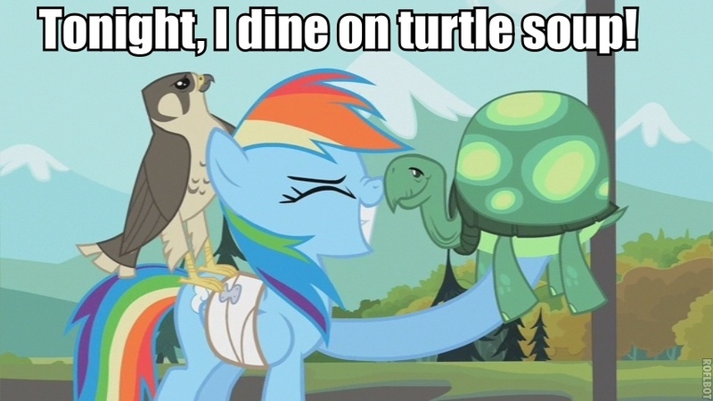 Size: 853x480 | Tagged: safe, derpibooru import, edit, edited screencap, screencap, rainbow dash, tank, bird, falcon, pegasus, pony, tortoise, may the best pet win, animal, bandage, bandaged wing, boop, eyes closed, female, grin, image macro, mare, nose wrinkle, noseboop, peregrine falcon, smiling, teenage mutant ninja turtles