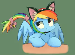 Size: 1311x958 | Tagged: safe, artist:grumblepluck, derpibooru import, edit, rainbow dash, cat, pegasus, pony, bell, cat ears, collar, cute, dashabetes, female, kitten, mare, open mouth, pet play, rainbow cat, solo