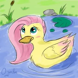 Size: 1000x1000 | Tagged: artist:osakaoji, blushing, blush sticker, derpibooru import, duck, female, flutterduck, fluttershy, lilypad, safe, solo, species swap, water