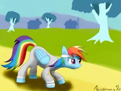 Size: 1200x900 | Tagged: safe, artist:acceleron, derpibooru import, rainbow dash