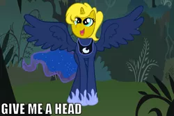 Size: 1019x681 | Tagged: safe, derpibooru import, princess luna, oc, oc:ticket, alicorn, pony, alicorn oc, draw on me, exploitable meme, give me a head, meme