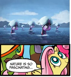 Size: 318x344 | Tagged: artist:moe, derpibooru import, edit, exploitable meme, fluttershy, meme, nature is so fascinating, ocean, pillow, pillow monsters, safe, spoiler:comic, surreal, twilight sparkle, wat, water