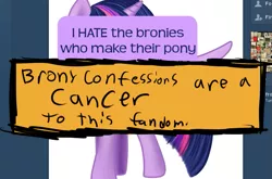 Size: 757x501 | Tagged: safe, derpibooru import, twilight sparkle, twilight sparkle (alicorn), alicorn, pony, drama, female, image, mare, png, pony confessions, screenshots, solo