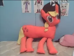 Size: 909x691 | Tagged: applejack, artist:plushbuddies, derpibooru import, eppaljeck, irl, photo, plushie, safe