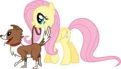 Size: 10559x6000 | Tagged: absurd resolution, artist:synthrid, collar, derpibooru import, fluttershy, leash, safe, simple background, transparent background, vector, winona