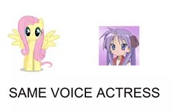 Size: 900x592 | Tagged: derpibooru import, emiri katou, exploitable meme, fluttershy, hiiragi kagami, japanese, lucky star, safe, same voice actor