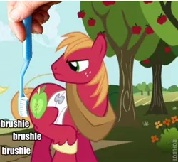 Size: 394x360 | Tagged: safe, derpibooru import, edit, edited screencap, screencap, big macintosh, earth pony, pony, applebuck season, brushie, brushie brushie, male, stallion, toothbrush