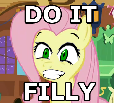 Size: 364x330 | Tagged: derpibooru import, do it, do it faggot, do it filly, edit, edited screencap, face, fluttershy, image macro, reaction image, safe, screencap, stare master