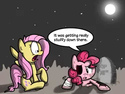 Size: 1024x768 | Tagged: ask, ask zombie pinkie pie, derpibooru import, epitaph, fluttershy, grave, gravestone, pinkie pie, rest in peace, safe, zombie