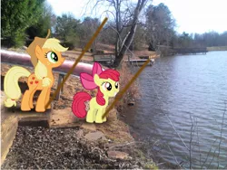 Size: 2048x1536 | Tagged: apple bloom, applejack, artist:tokkazutara1164, derpibooru import, fishing, pier, poles, pond, ponies in real life, safe, steps, water