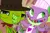 Size: 798x532 | Tagged: apron, chef, chef's hat, clothes, cowboy hat, crossover, derpibooru import, dragon, gem, hat, just for sidekicks, le ruse master, lima beans, littlest pet shop, lizard, naked apron, safe, spike, still a better crossover than cartuneslover, vinnie terrio