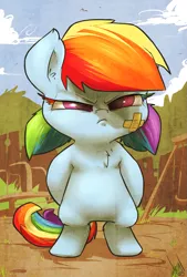 Size: 879x1300 | Tagged: safe, artist:atryl, derpibooru import, rainbow dash, earth pony, pony, semi-anthro, alternate hairstyle, badass, badass adorable, bandage, bipedal, chest fluff, colored eyelashes, cute, dashabetes, filly, filly rainbow dash, grumpy, madorable, pigtails, race swap, rainbow lashes, signature, solo, stare down, tough, wingless