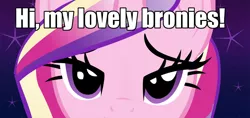 Size: 1204x568 | Tagged: bedroom eyes, brony, bronybait, caption, derpibooru import, eyes, fourth wall, hypnosis, hypnosis ponies, meme, princess cadance, safe