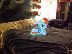 Size: 900x675 | Tagged: artist:wolverscream05, bed, chair, derpibooru import, irl, lamp, photo, ponies in real life, rainbow dash, sad, safe, solo, vector, watermark