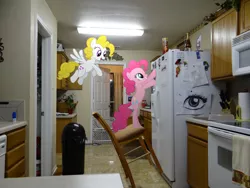 Size: 4896x3672 | Tagged: artist:emedina13, chair, derpibooru import, door, g1, g1 to g4, generation leap, kitchen, pinkie pie, ponies in real life, pringles, refrigerator, safe, surprise, trash can, vector