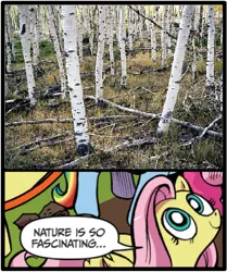 Size: 396x473 | Tagged: safe, derpibooru import, idw, fluttershy, pinkie pie, rainbow dash, earth pony, pegasus, pony, exploitable meme, female, forest, looking up, mare, meme, nature is so fascinating, pando, smiling, solo focus, tree