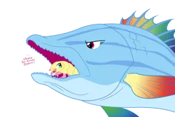 Size: 1500x1000 | Tagged: safe, artist:equestria-prevails, derpibooru import, fluttershy, rainbow dash, fish, isopod, cymothoa exigua, female, fishified, flutterdash, flutterprey, frown, glare, lesbian, not salmon, open mouth, parasite, rainbow trout, salmon yet not salmon, shipping, simple background, smiling, species swap, tongue eating isopod, transparent background, unamused, vore, wat