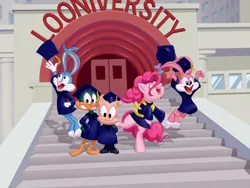 Size: 1600x1200 | Tagged: acme looniversity, artist:dstears, babs bunny, buster bunny, crossover, derpibooru import, graduation, hamton pig, pinkie pie, plucky duck, safe, this explains everything, tiny toon adventures, wallpaper