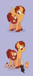 Size: 576x1296 | Tagged: artist:lissystrata, doctor who, jamie mccrimmon, kilt, kitten, ponified, safe