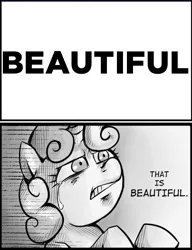 Size: 537x700 | Tagged: beautiful, captain obvious, derpibooru import, exploitable meme, pun, safe, shaped like itself, subversion, subverted meme, sweetie belle, that is beautiful