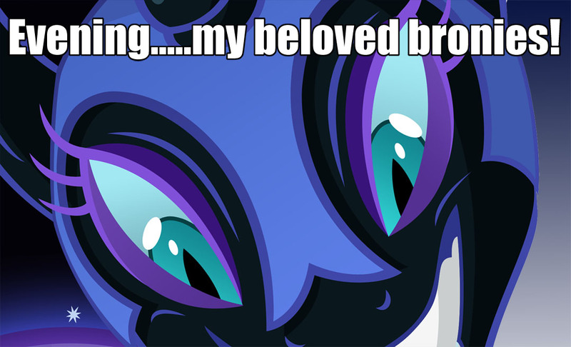 Size: 1079x656 | Tagged: brony, bronybait, caption, derpibooru import, eyes, hypnosis, hypnosis ponies, image macro, meme, nightmare moon, rapeface, safe