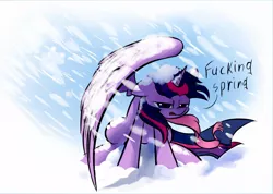 Size: 1060x754 | Tagged: safe, artist:underpable, derpibooru import, twilight sparkle, twilight sparkle (alicorn), alicorn, pony, clothes, female, image, jpeg, mare, scarf, snow, snowfall, solo, spring, twilight is not amused, unamused, vulgar