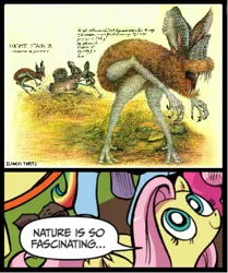 Size: 397x474 | Tagged: safe, derpibooru import, fluttershy, after man a zoology of the future, dougal dixon, exploitable meme, meme, nature is so fascinating, nightmare fuel, night stalker