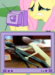 Size: 511x700 | Tagged: burned, dead, derpibooru import, exploitable meme, fluttercry, fluttershy, match, sad, semi-grimdark, tv meme