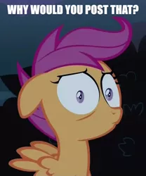 Size: 369x444 | Tagged: safe, derpibooru import, scootaloo, pony, sleepless in ponyville, reaction image, solo, why would you post that