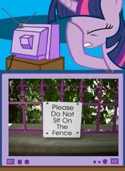 Size: 438x600 | Tagged: derpibooru import, exploitable meme, facehoof, fence, safe, tv meme, twilight sparkle